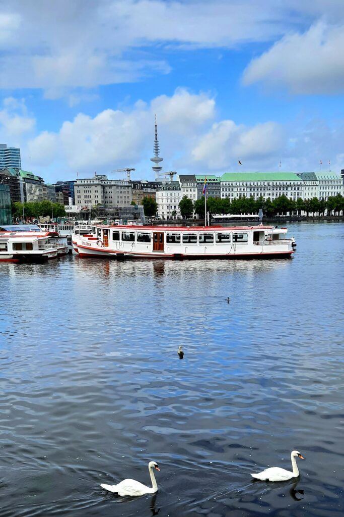 Two white swans swimming on Hamburg’s Binnenalster, with sightseeing boats and city buildings in the background.