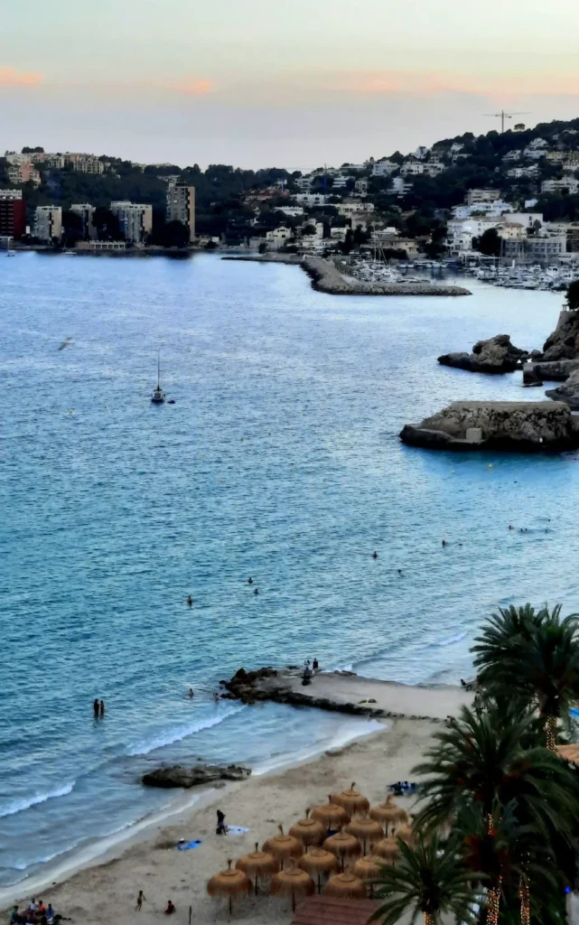 Peaceful evening view over Cala Major beach in Mallorca, with calm sea, beach umbrellas and palm trees
