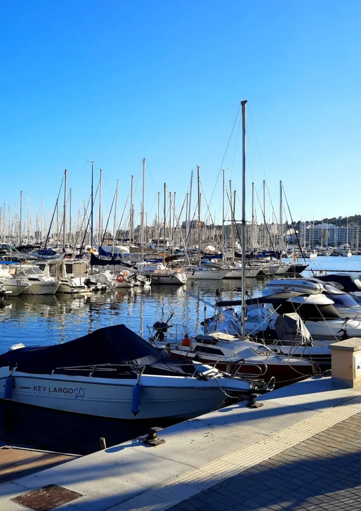 Sailboats and yachts moored at Palma marina in Mallorca on a sunny evening