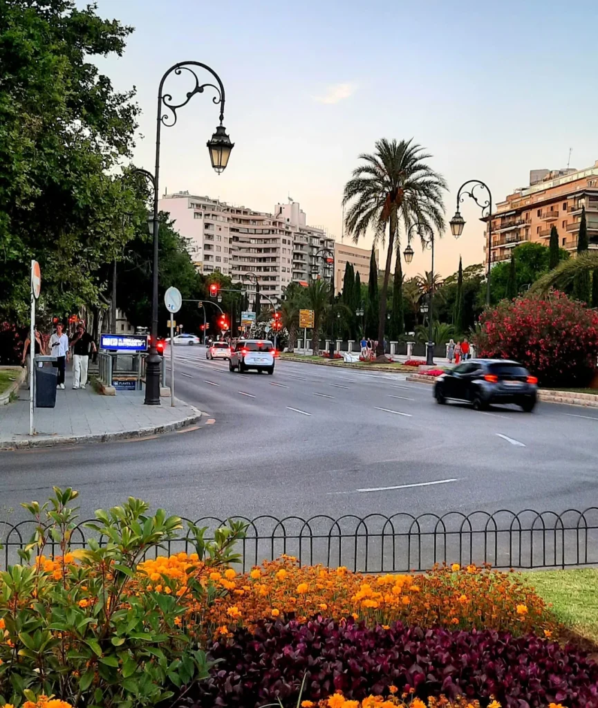 Palma street with palm trees, traffic and a bus stop in Mallorca