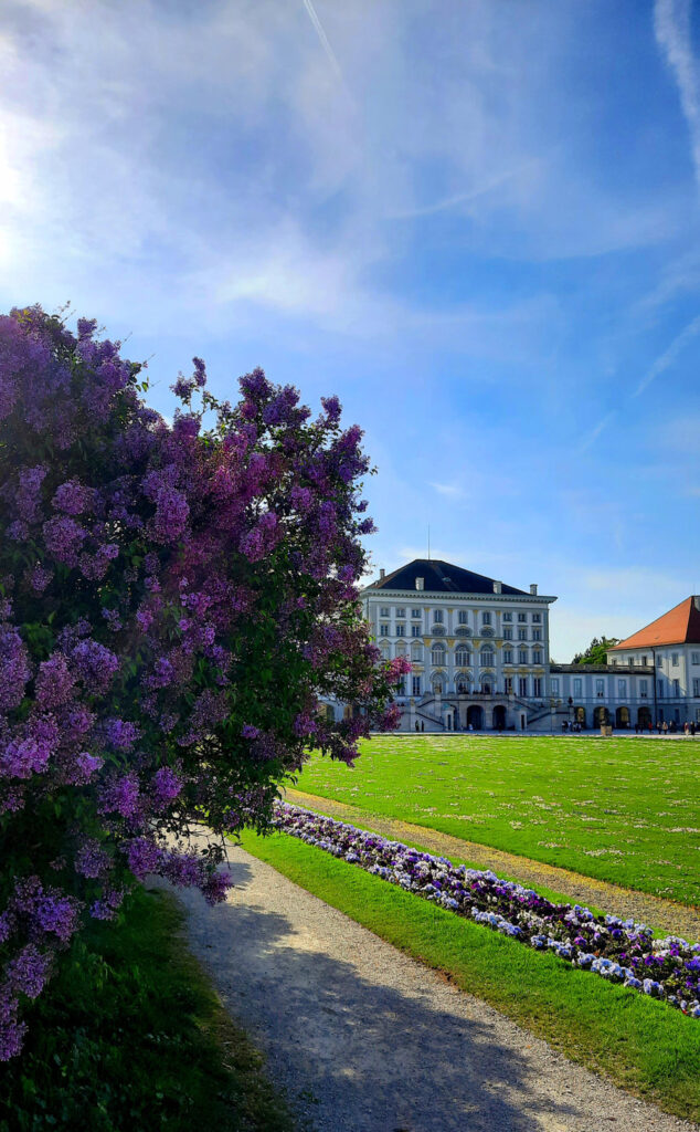 Purple lilacs blooming beside a garden path, with Nymphenburg Palace and colourful flower beds in the background.