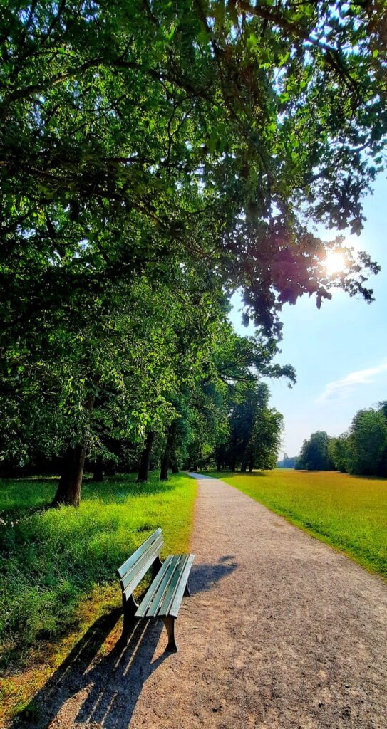 Quiet walking path in Nymphenburg Palace Park, with an empty bench beneath leafy trees and sunlight over the meadow.