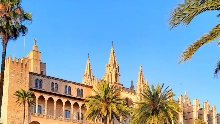 Palma Cathedral in Mallorca illuminated by warm evening sunlight, with palm trees in the foreground